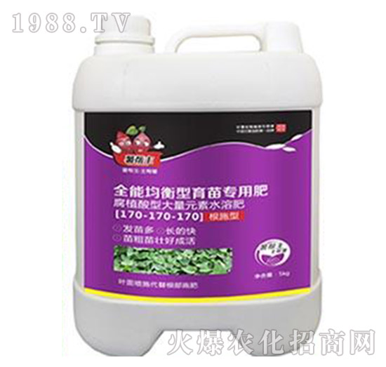 ȫ�ܾ��������猣(zhu��n)�÷�170-170-170-�����-���A����(l��)