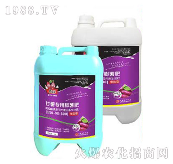 ���팣(zhu��n)�������ʣ�500g��-�����-���A����(l��)