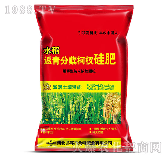 水稻返青分蘗柯杈肥-為峰