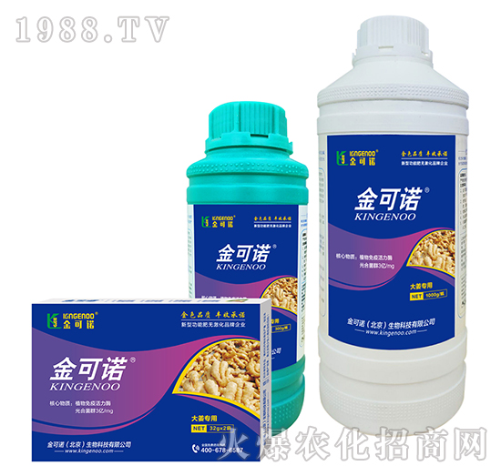 大姜專用-金可諾