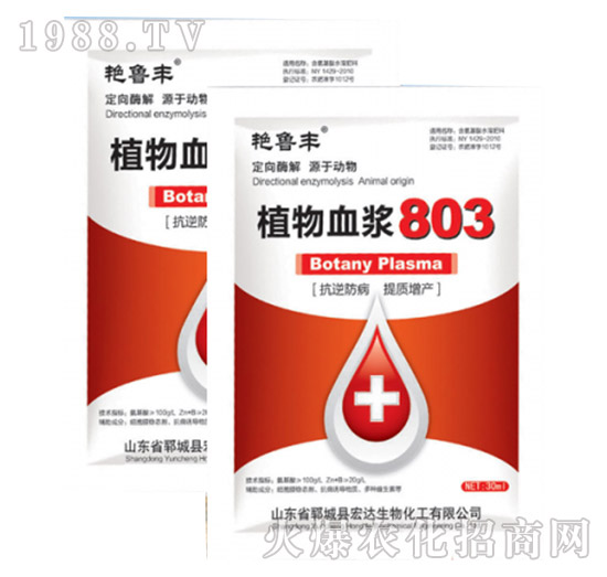 ֲ��Ѫ�{803-�G���S-���_����