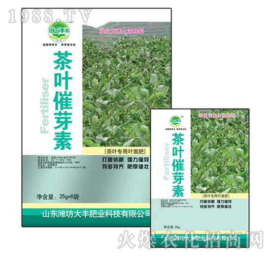 25g���~��ѿ��-��@���S-���S�ʘI(y��)