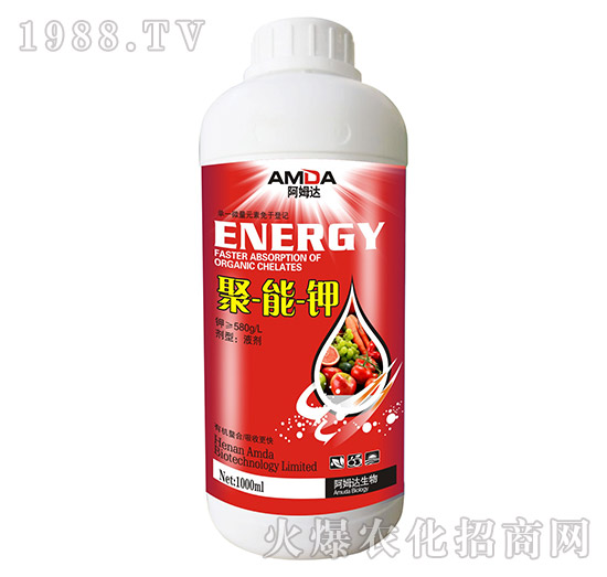 �����-��ķ�_