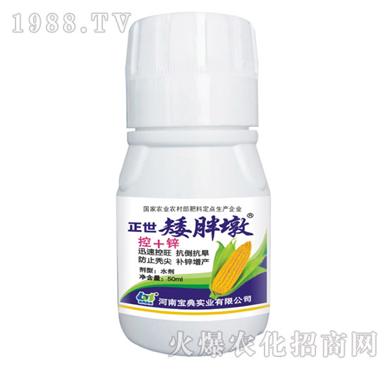 正世矮胖墩-寶典實(shí)業(yè)