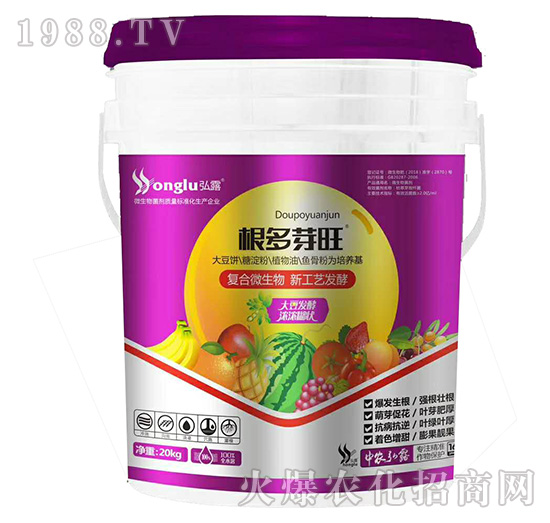 ����ѿ��-���r��¶