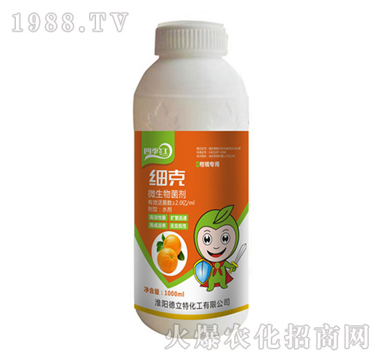 ����-�ļ��t-������