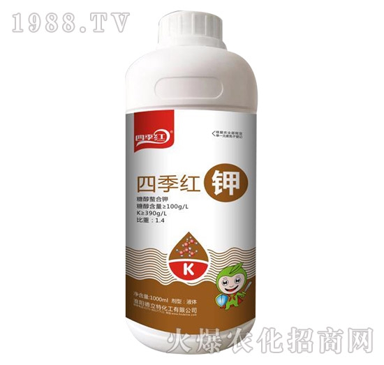 �ļ��t�-�ļ��t-������