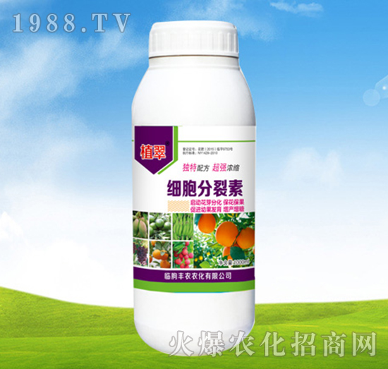 1000ml細胞分裂素-植翠-豐農(nóng)農(nóng)化