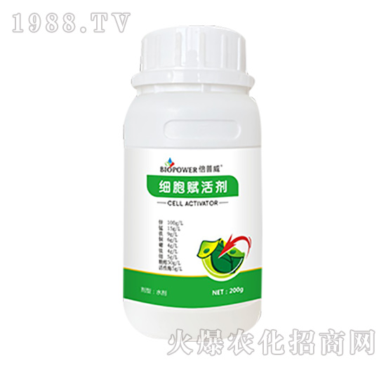 ��(x��)���x�-������