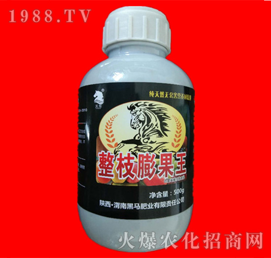 整枝膨果王-黑馬肥業(yè)