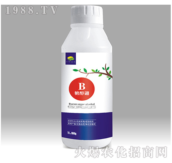 �Ǵ���-��������