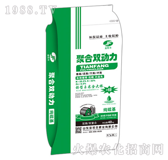 聚合雙動力-金炬豐