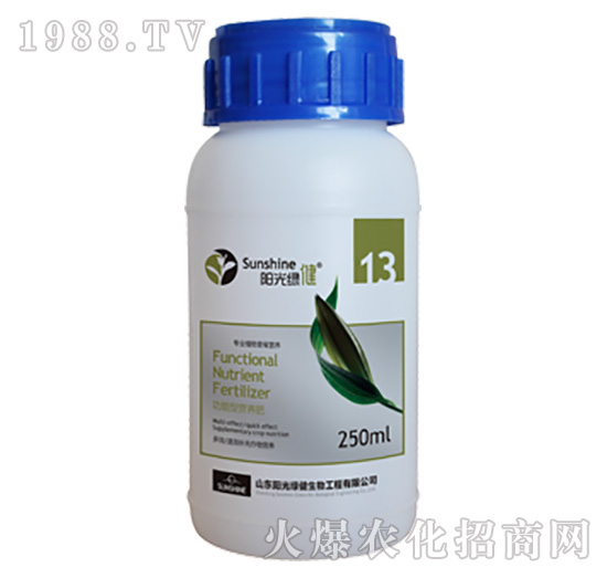 �����͠I(y��ng)�B(y��ng)��-����-13-�(y��ng)��G��