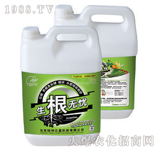 生根無(wú)憂(yōu)-綠洲之星