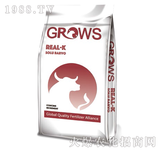 �����-���_ʩ-��ʢ����