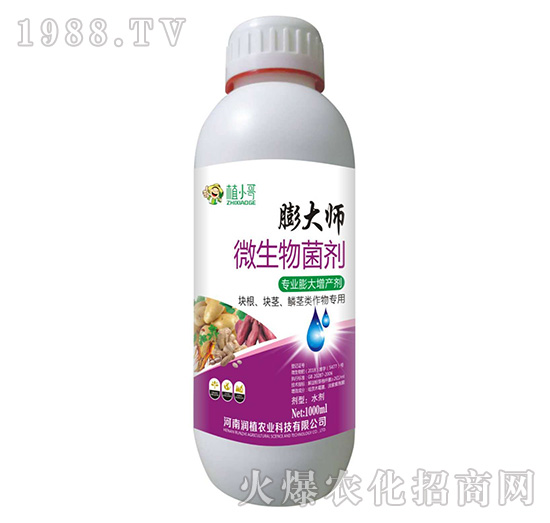 ΢�������-���-��ֲ