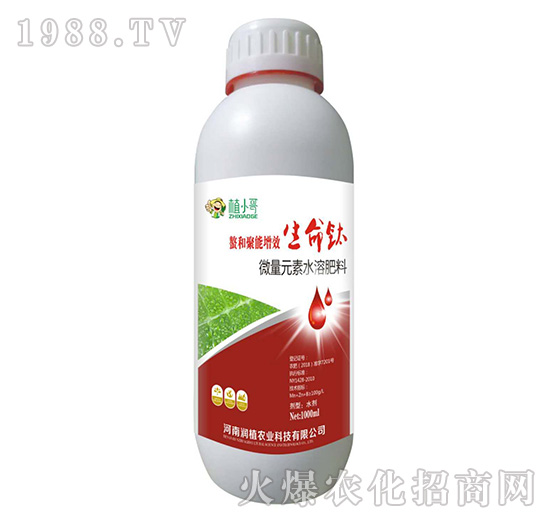 �����-��(r��n)ֲ