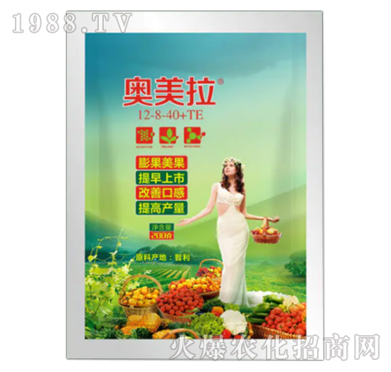 �W����12-8-40+TE-��������