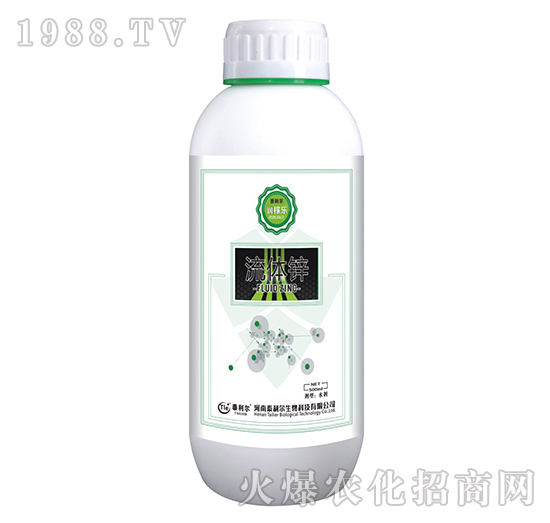 ���w�\-���ژ�-̩����