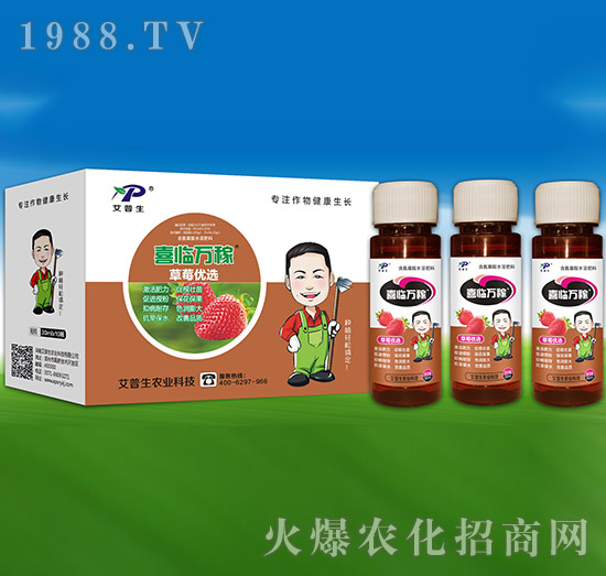 草莓優(yōu)選-喜臨萬稼-艾普生