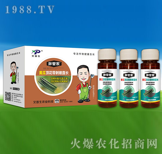 黃瓜頂花帶刺嫩直長(zhǎng)-胖管家-艾普生