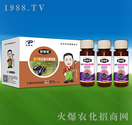 茄子拉長(zhǎng)膨大黑紫靚-胖管家-艾普生