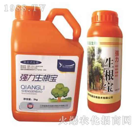 ����������-�p������