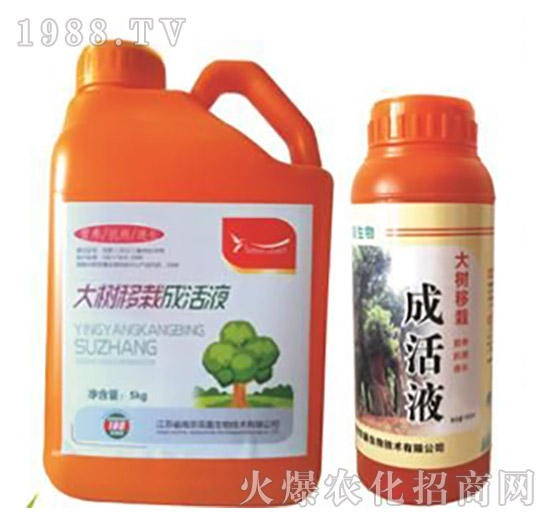 ������Գɻ�Һ-�p������