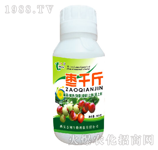 ��ǧ��-��������