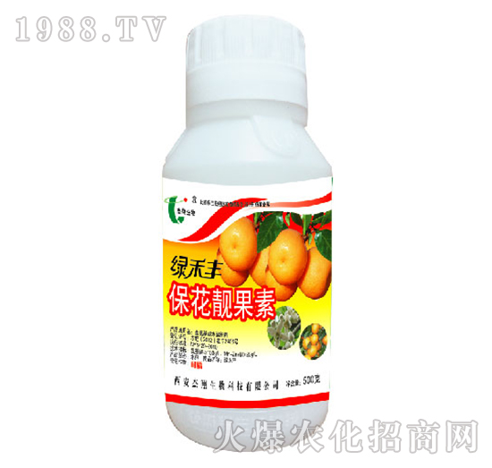 �����n����-�G���S-��������