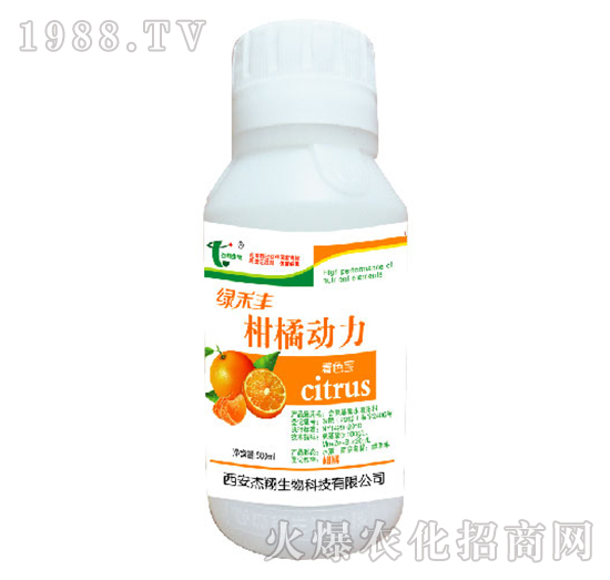 ���ل���-�G���S-��������