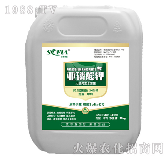 ������⛣�30kg��-���Ɓ�