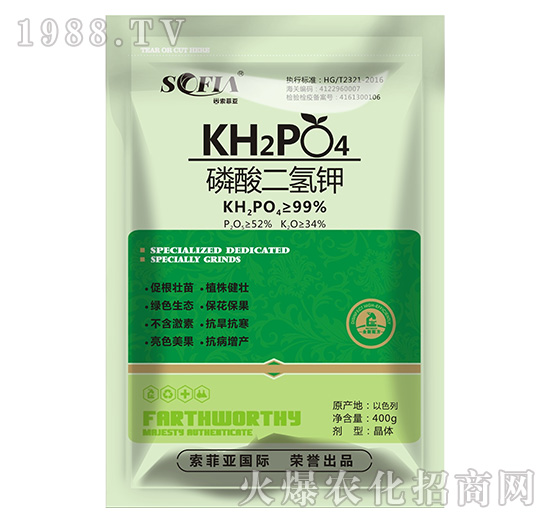 ��������-���Ɓ�