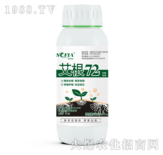 ��������-����72-���Ɓ�