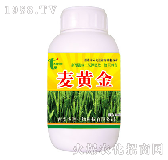 ���S��-��������