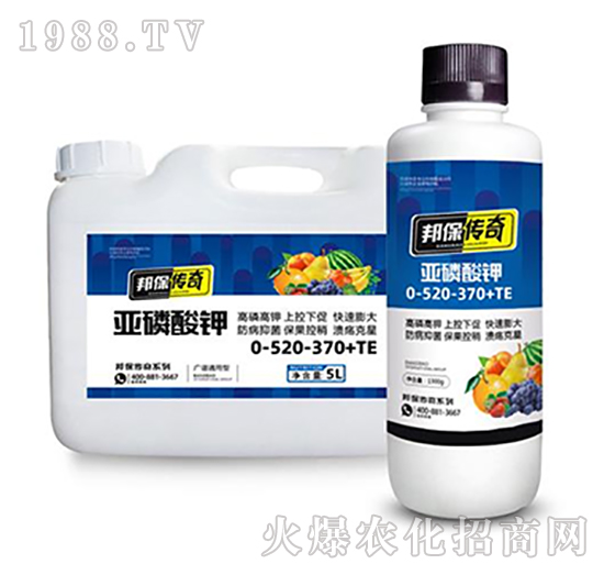 �������0-520-370+TE-�����-��ʘI(y��)