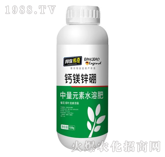 �}�V�\��-�����-��ʘI(y��)