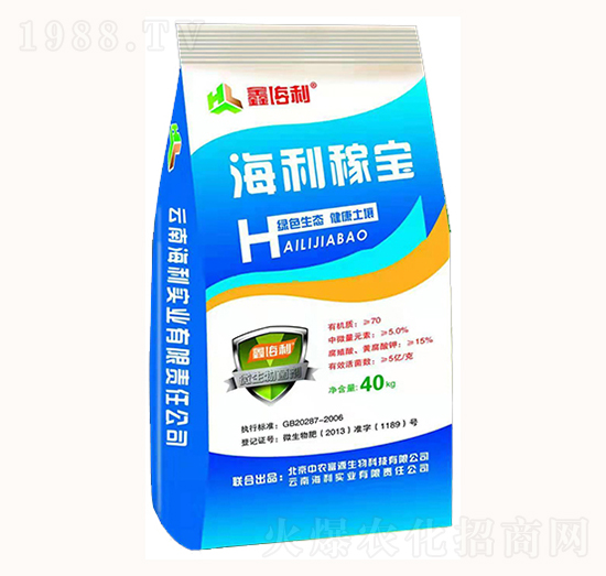 �����ڌ�-������(sh��)�I(y��)