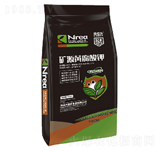 10kg�VԴ�S�����-���_(d��)