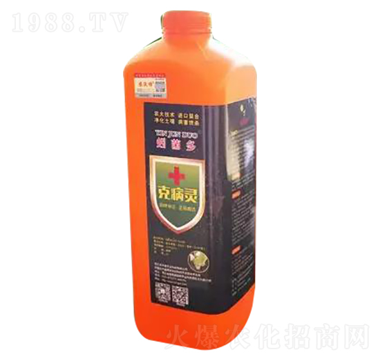 �˲��`-����-�r�־G