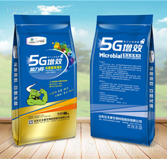 ������΢�������-5G��Ч-����ʩ����