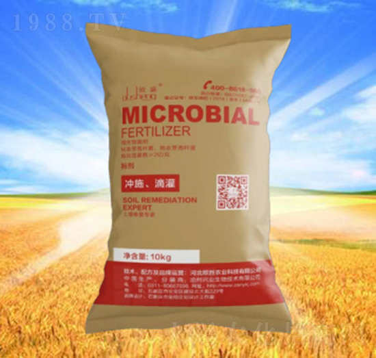 ΢����������ۄ���-�\�T�r(n��ng)�I(y��)