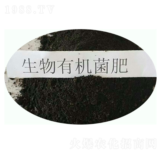 �����ЙC����-���|�ʘI(y��)