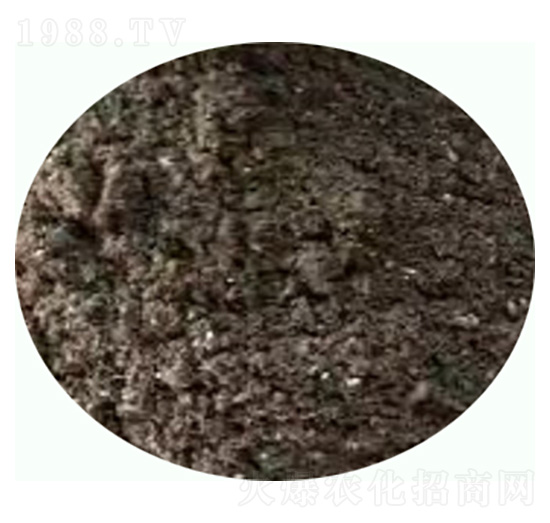 �l(f��)����S��-���|�ʘI(y��)