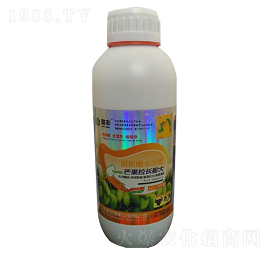 芒果拉長膨大-豐收源