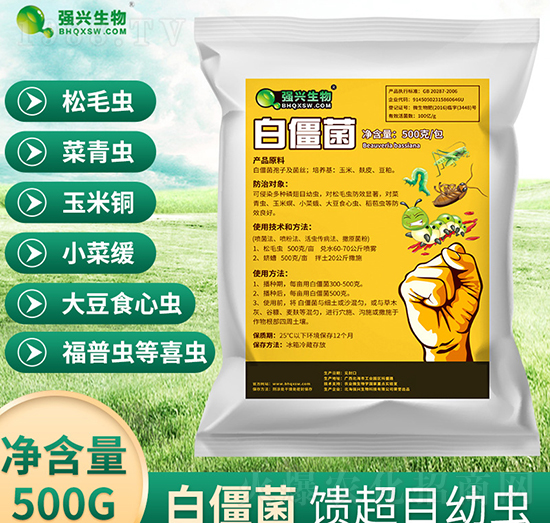 白僵菌原粉-強(qiáng)興生物