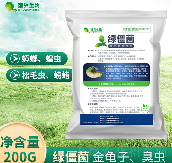 微生物殺蟲(chóng)劑-綠僵菌-強(qiáng)興生物