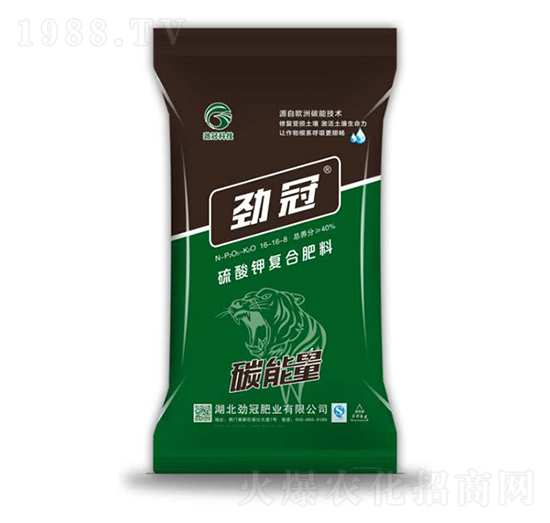 ����⛏ͺϷ���16-16-8-̼����-�Ź�