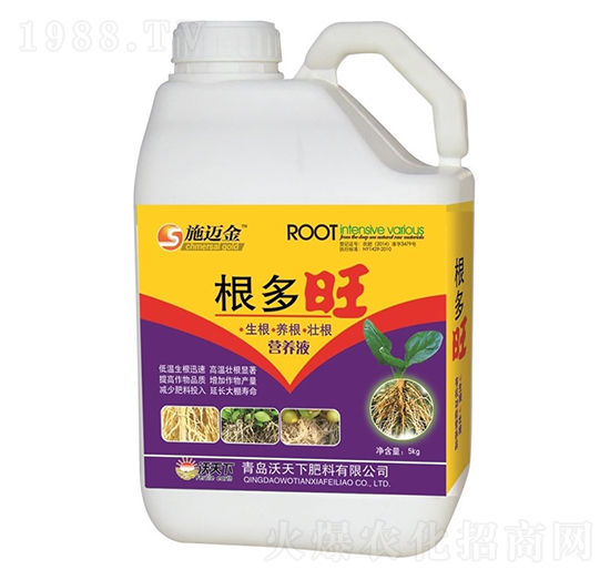 ������-ʩ�~��-������