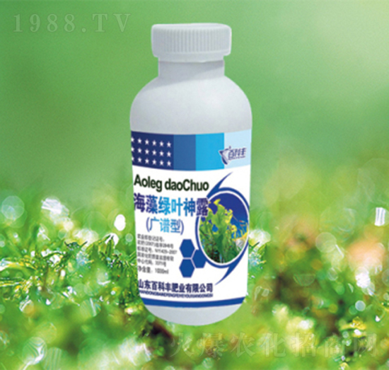 海藻綠葉深露-百科豐